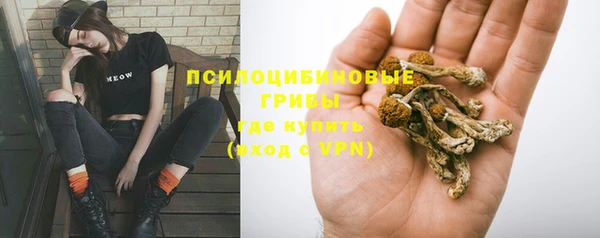 PSILOCYBIN Елизово