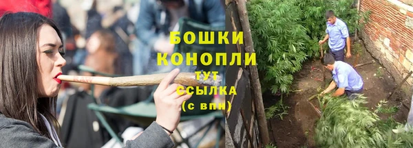 PSILOCYBIN Елизово