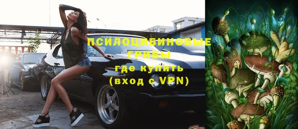 ешки Ельня
