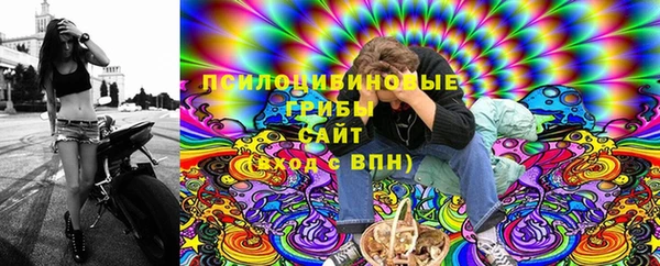 PSILOCYBIN Елизово