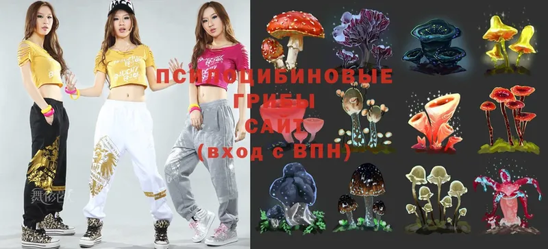 Галлюциногенные грибы Psilocybe  блэк спрут ССЫЛКА  Ивантеевка 