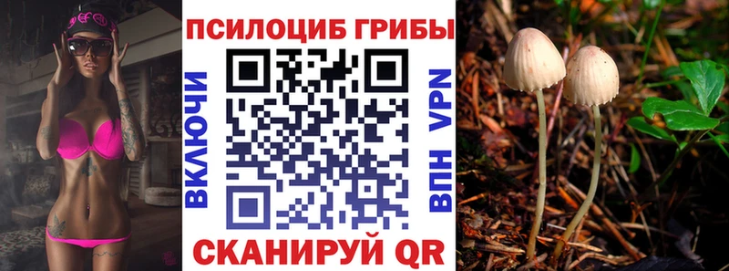 Псилоцибиновые грибы мицелий  ссылка на мегу tor  Ивантеевка 