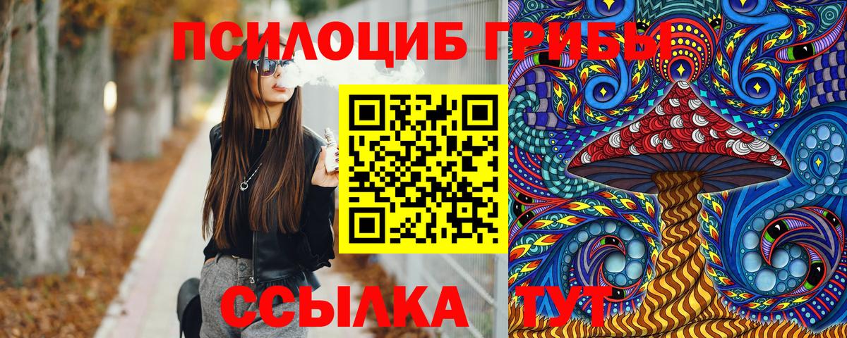 Ивантеевка  Галлюциногенные грибы Psilocybine cubensis  Вход с VPN 