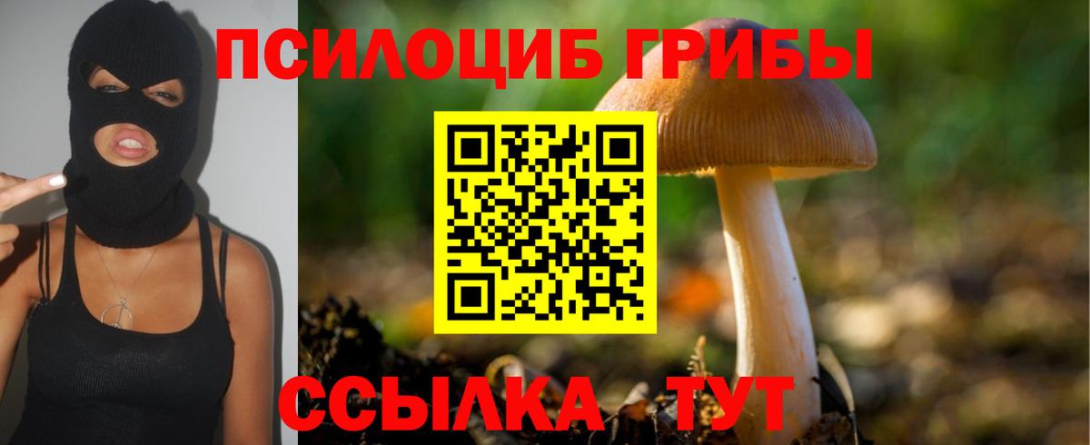 Галлюциногенные грибы GOLDEN TEACHER Ивантеевка